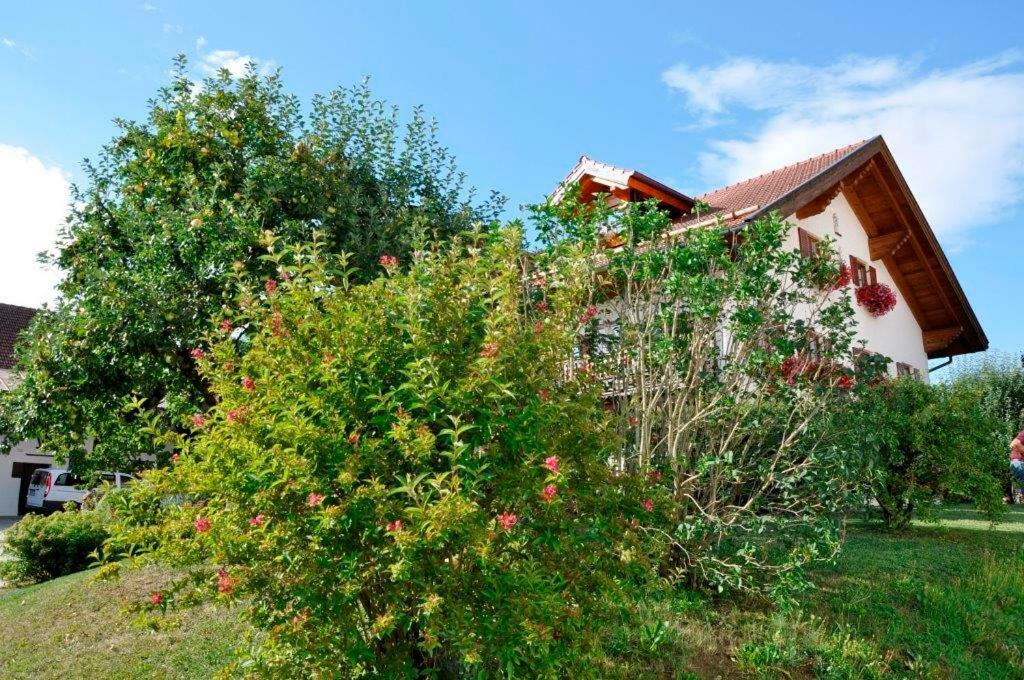 Gaestehaus Walser Unterbrunn المظهر الخارجي الصورة