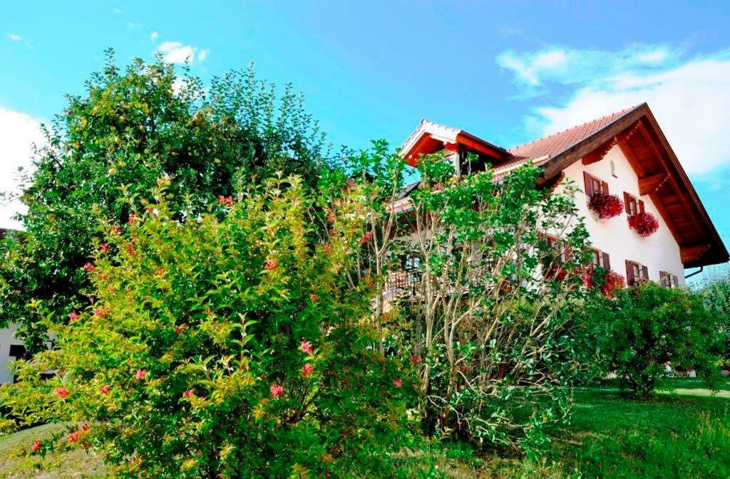 Gaestehaus Walser Unterbrunn المظهر الخارجي الصورة